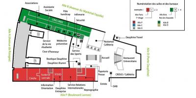 Карта университета Дофин - цокольный этаж